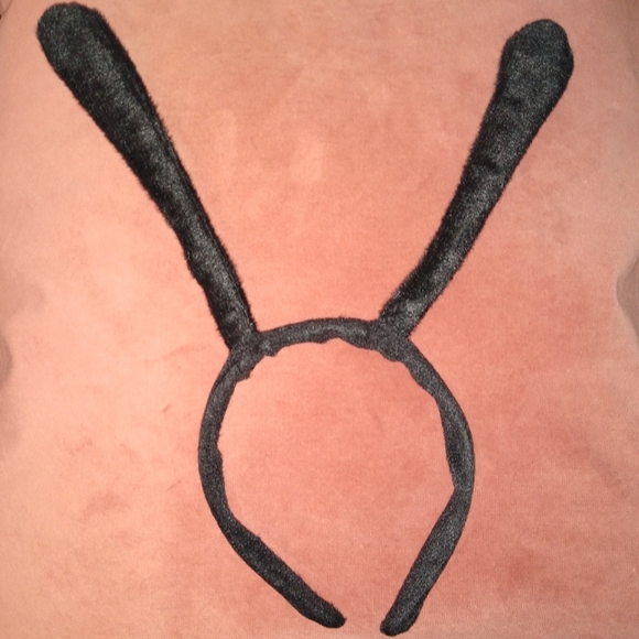 Mint Green Luna Moth Festival Butterfly Costume Set Fairy Wings Butterflies - Picture 6 of 12